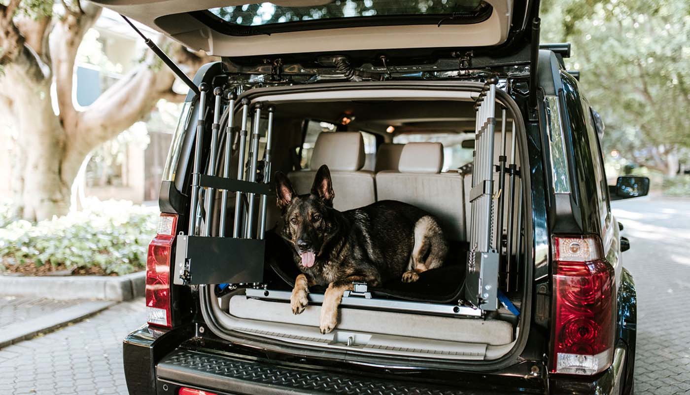 Beautiful view of Doggate Custom Embroidered Dog Crate Strips