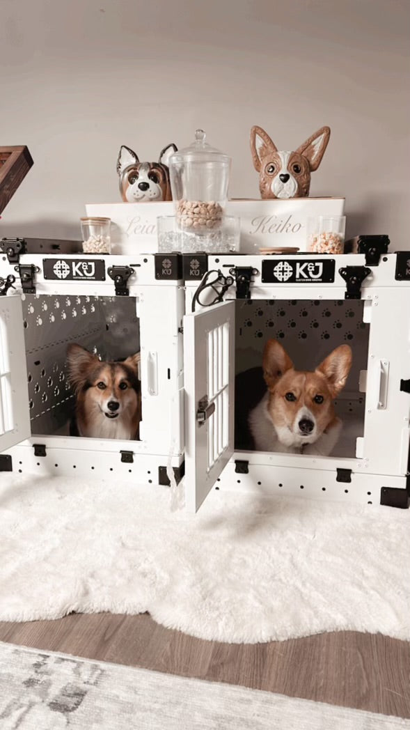 Beautiful photo of two small white collapsible K&J crates on a plush white rug, each with a Welsh Corgi inside facing out with the doors open. Corgi statues with names sit on top of the crates in a well-decorated dog room.