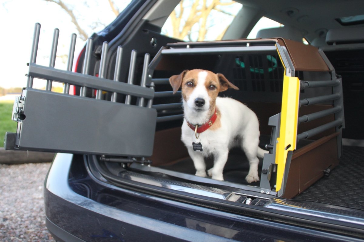 Crash Tested - MIM Safe VarioCage Minimax - K&J Custom Dog Crates