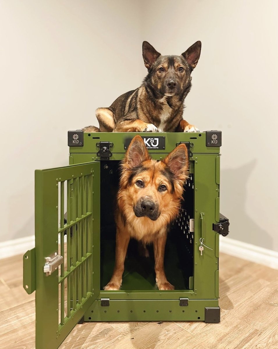 5 Reasons to Crate Train Your Dog - K&J Custom Dog Crates