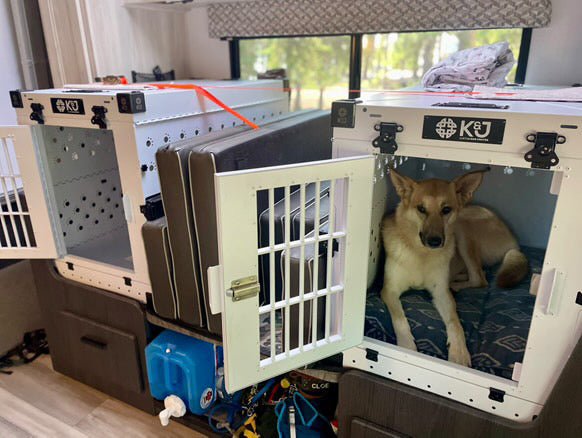 Why Aluminum crates rather than plastic crates - K&J Custom Dog Crates