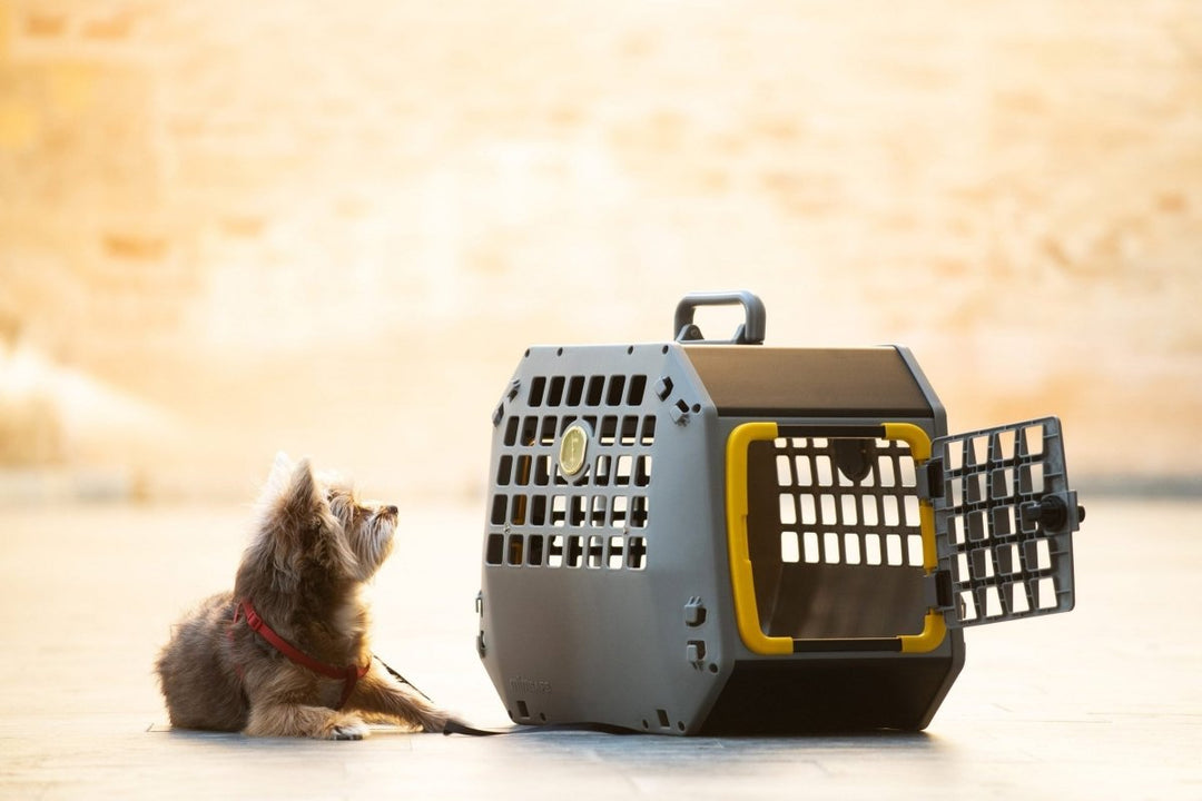 Care2 - K&J Custom Dog Crates