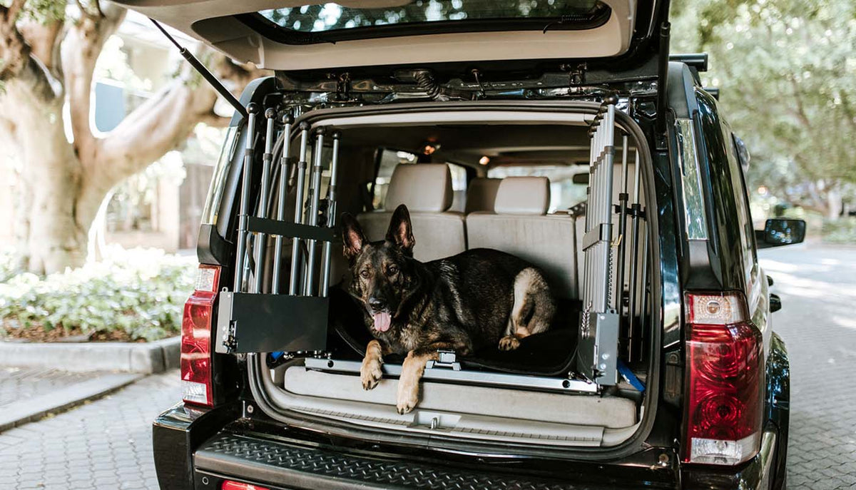 Custom Pet Crates With Animal Logos For Businesses photo
