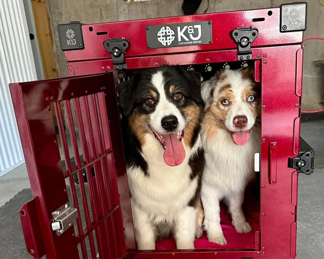 Metallic Crates - K&J Custom Dog Crates