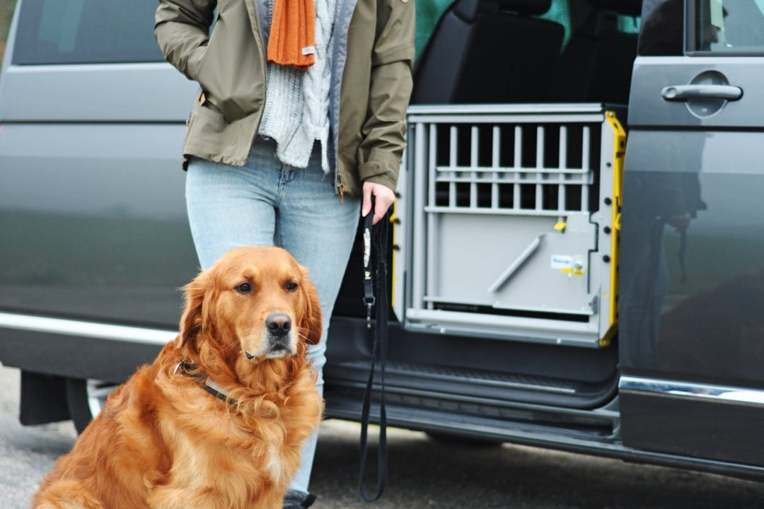 MultiCage - K&J Custom Dog Crates