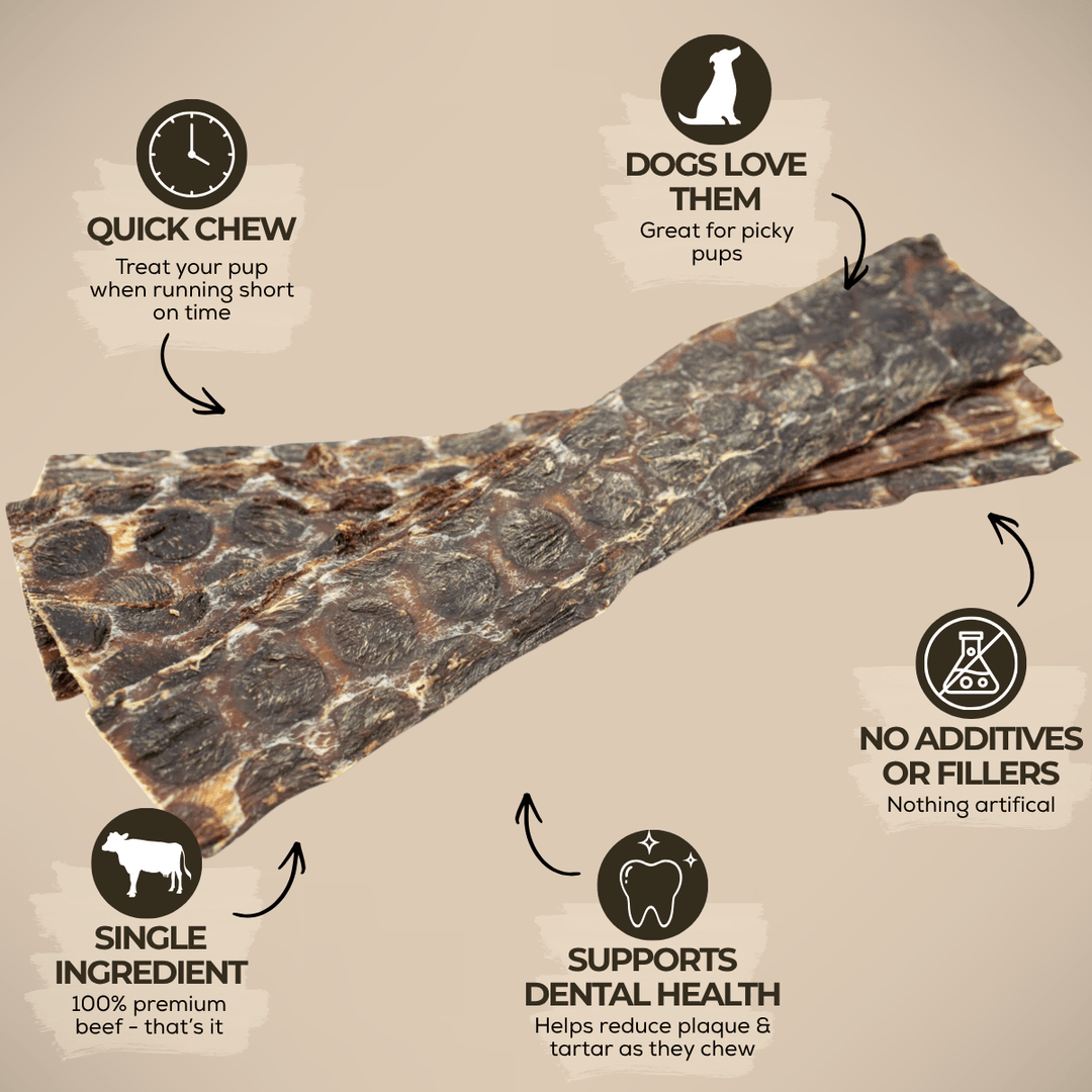 12 Inch Beef Jerky Strip - K&J Custom Dog Crates