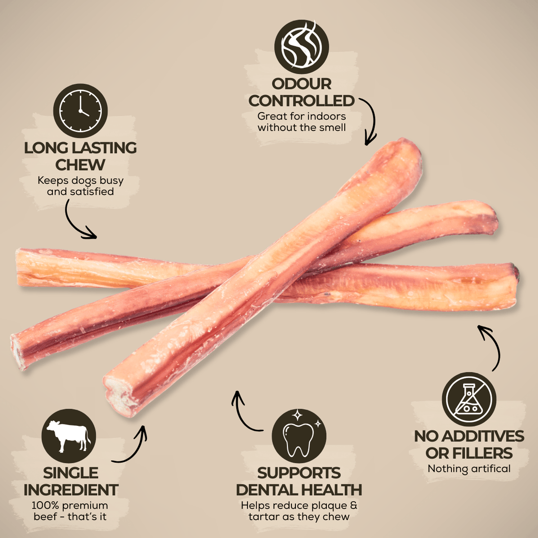 12 Inch Jumbo Bully Stick - K&J Custom Dog Crates