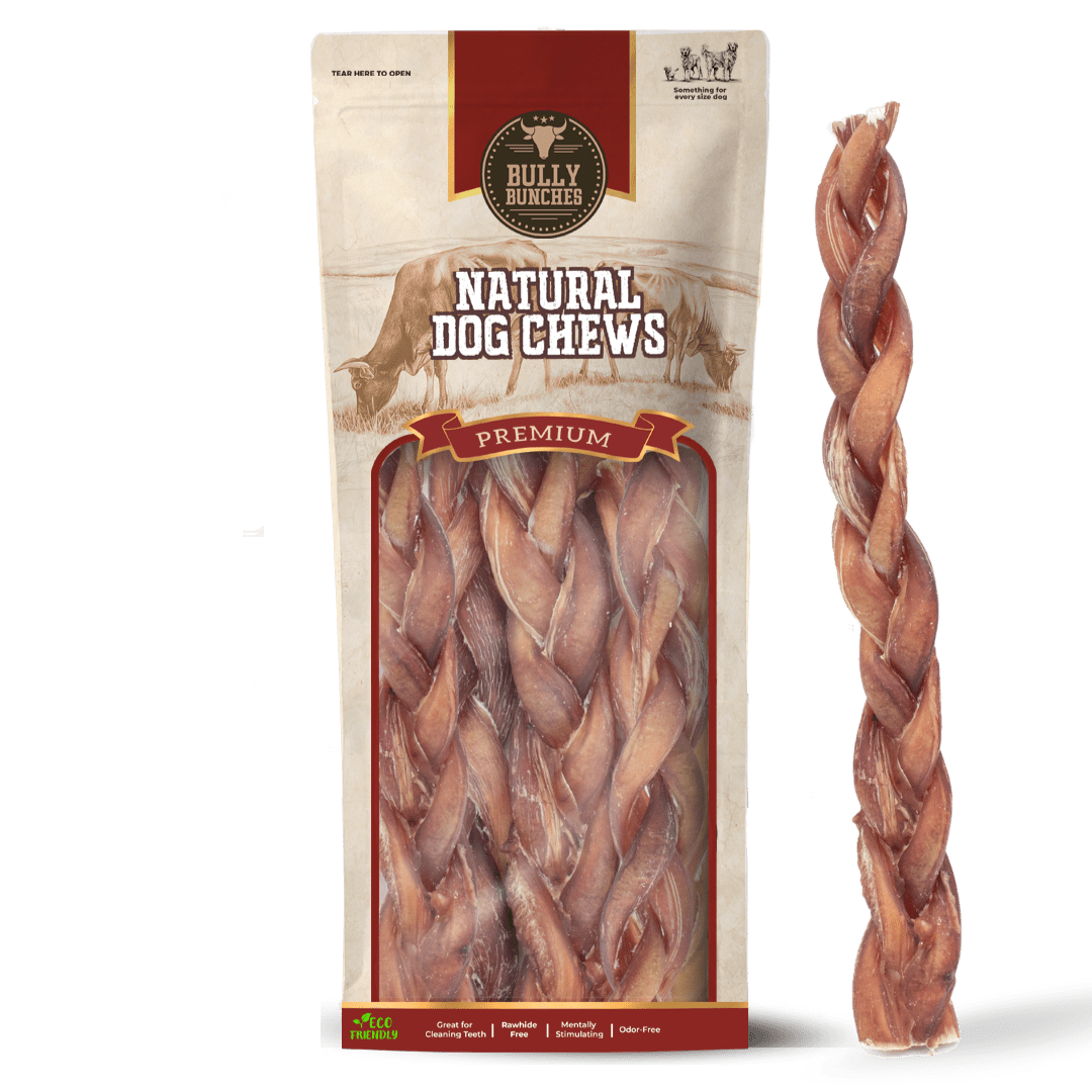 12 Inch Standard Braided Bully Stick - K&J Custom Dog Crates