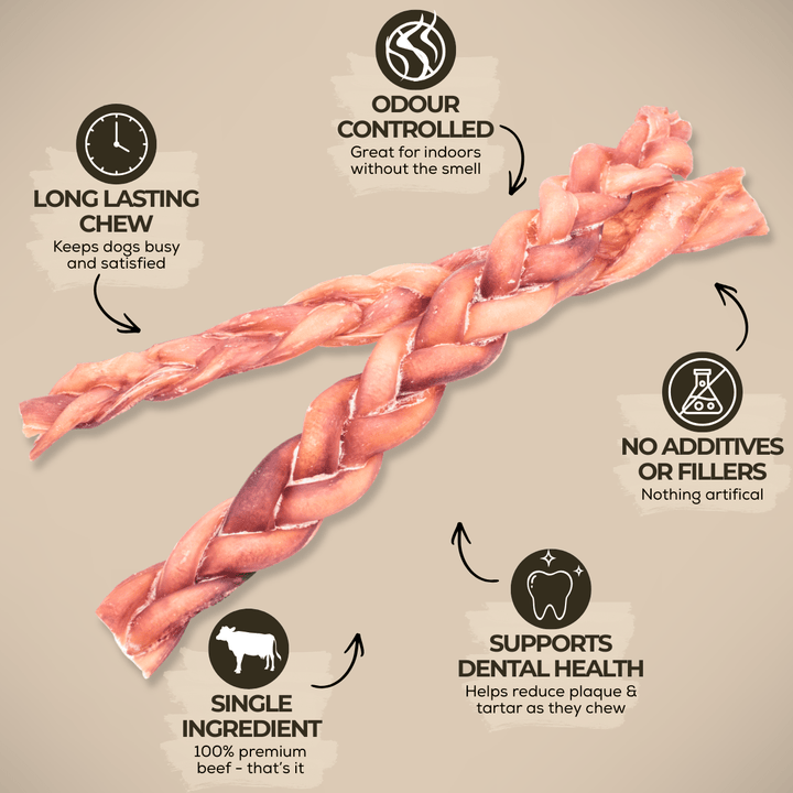 12 Inch Standard Braided Bully Stick - K&J Custom Dog Crates
