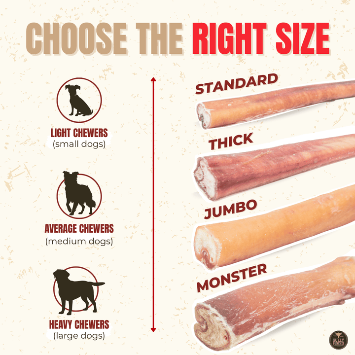 12 Inch Standard Bully Stick - K&J Custom Dog Crates