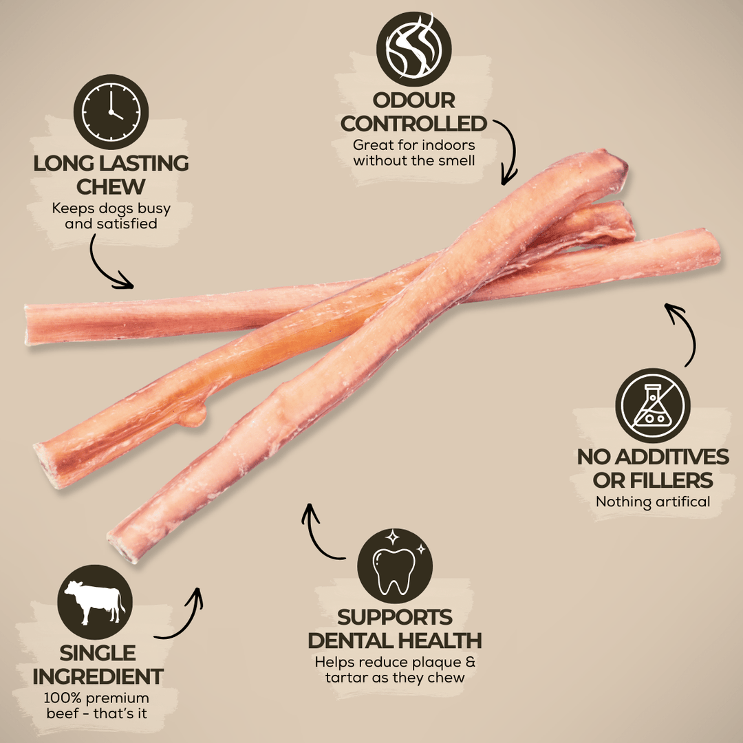 12 Inch Standard Bully Stick - K&J Custom Dog Crates