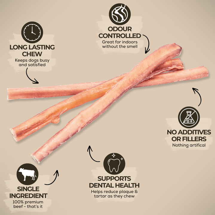 12 Inch Standard Bully Stick - K&J Custom Dog Crates