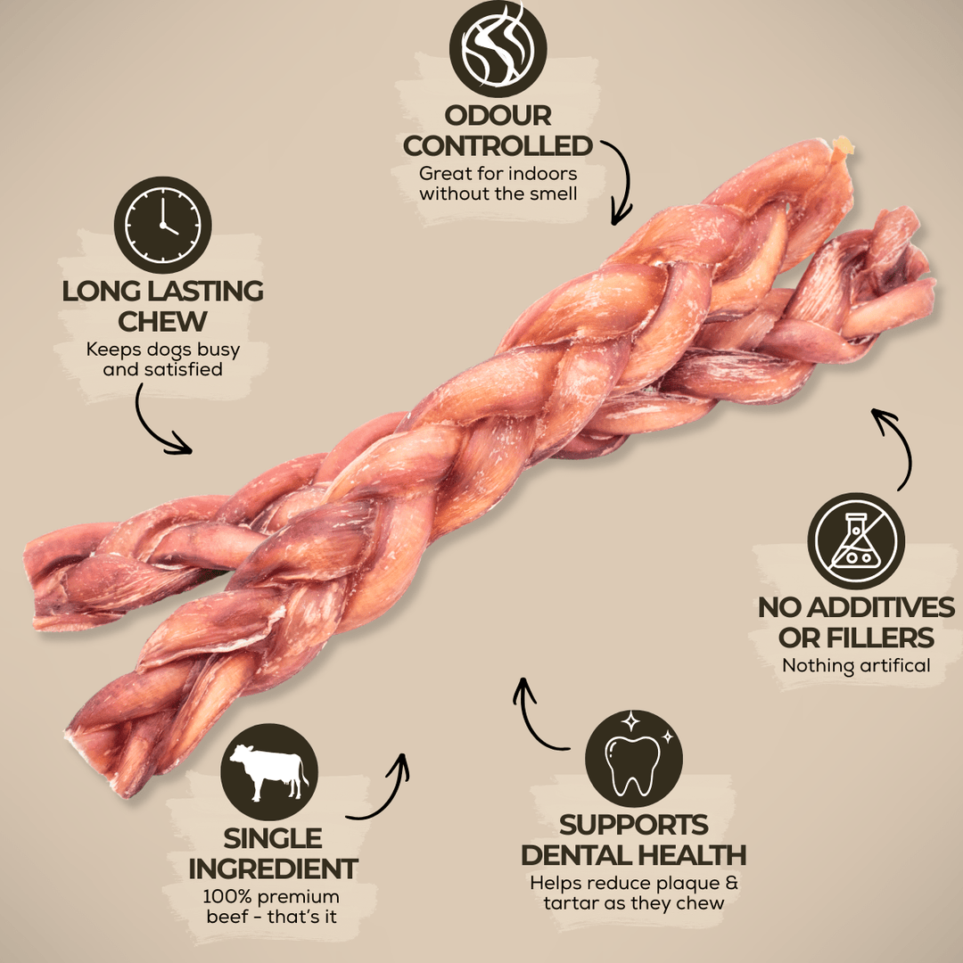 12 Inch Thick Braided Bully Stick - K&J Custom Dog Crates