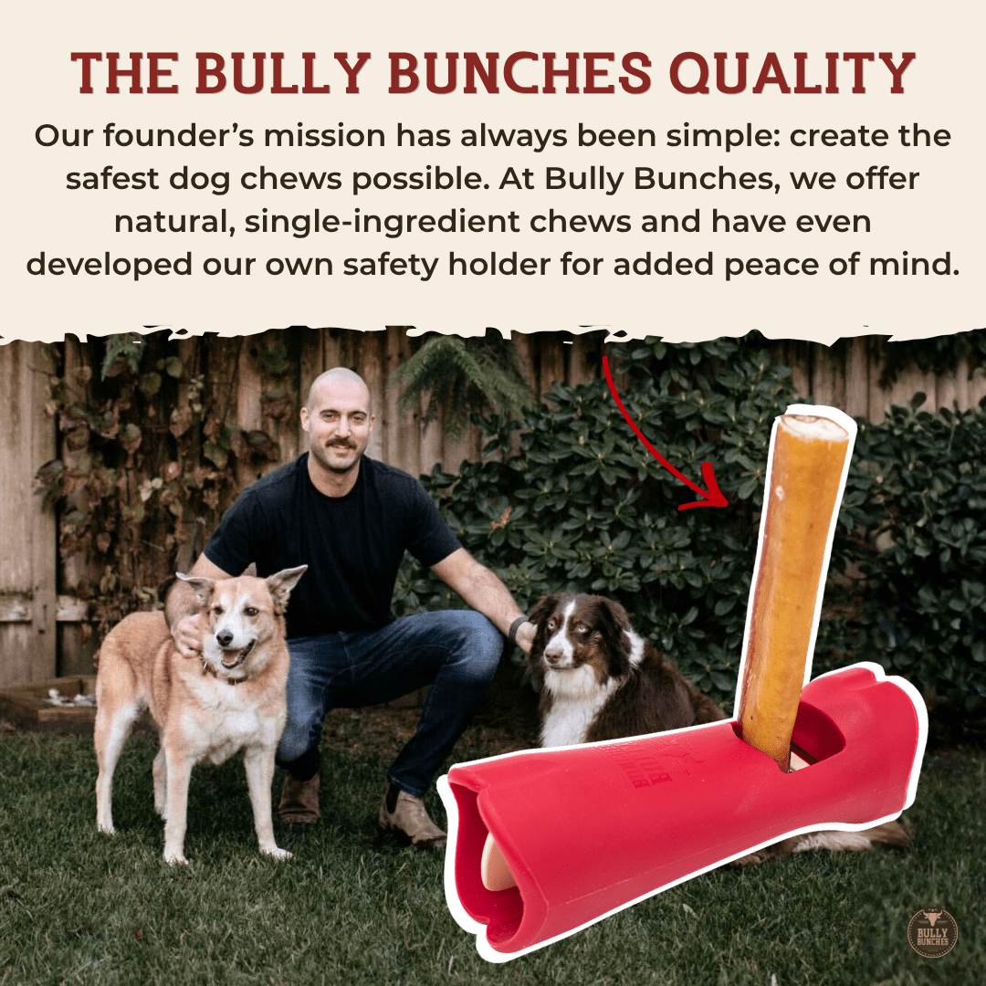 12 Inch Thick Braided Bully Stick - K&J Custom Dog Crates