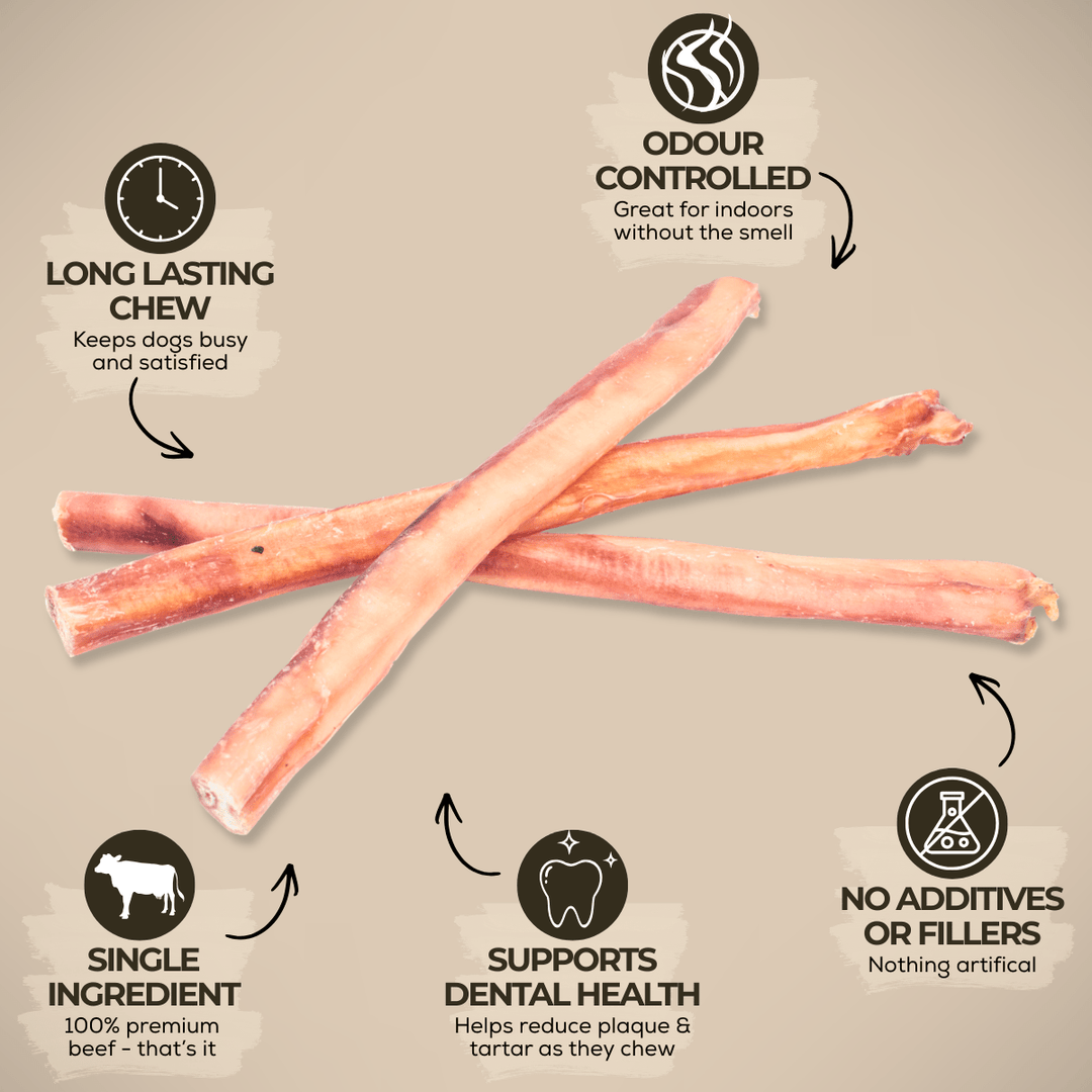 12 Inch Thick Bully Stick - K&J Custom Dog Crates