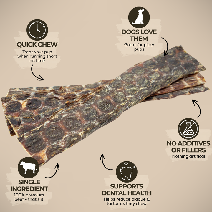 12 Inch Beef Jerky Strip