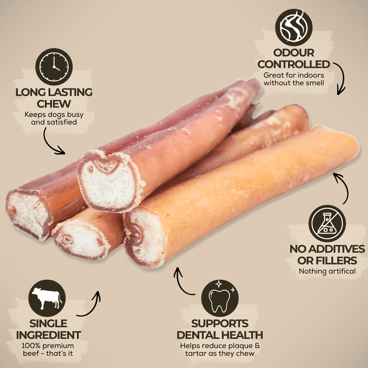 6 Inch Jumbo Bully Stick - K&J Custom Dog Crates