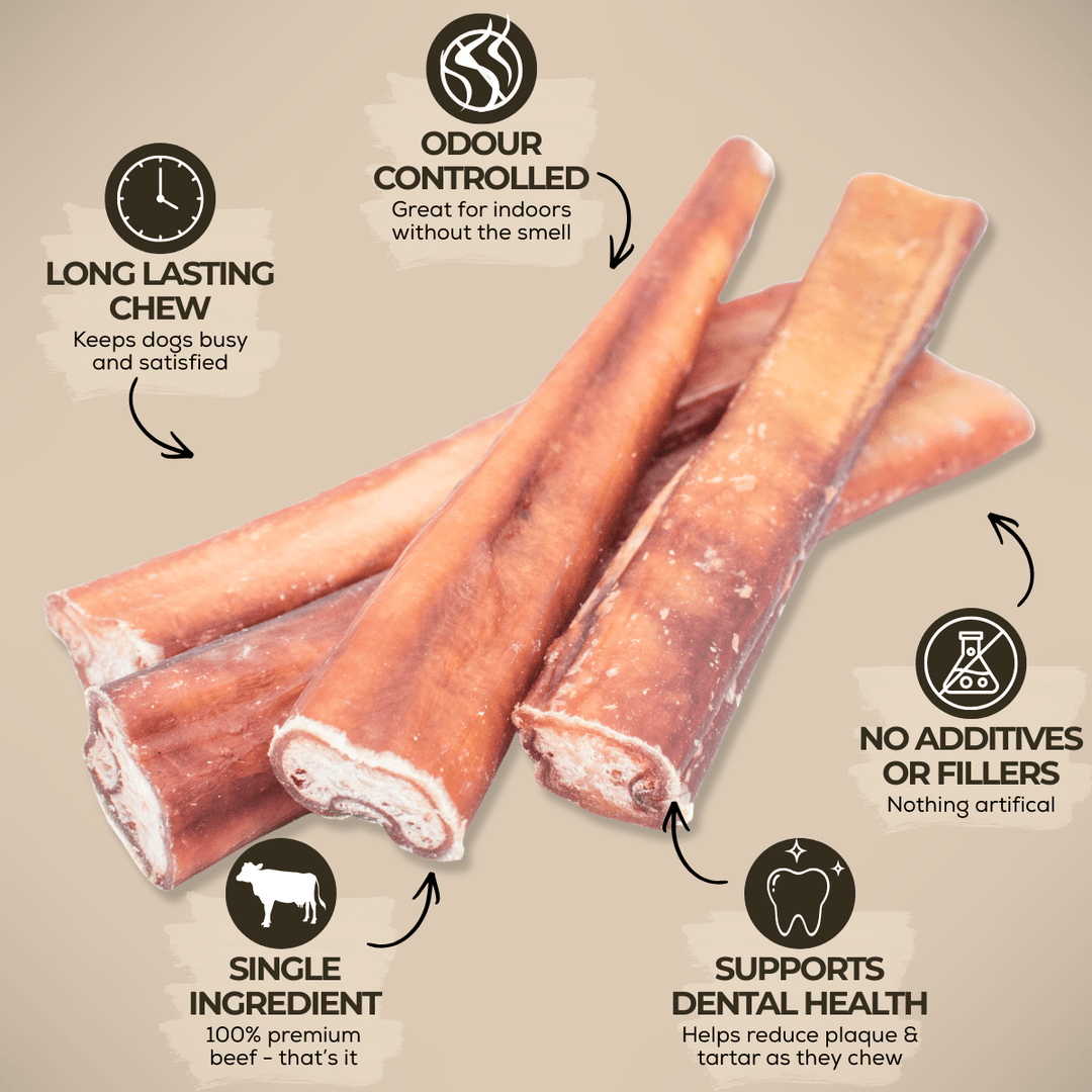 6 Inch Thick Bully Stick - K&J Custom Dog Crates