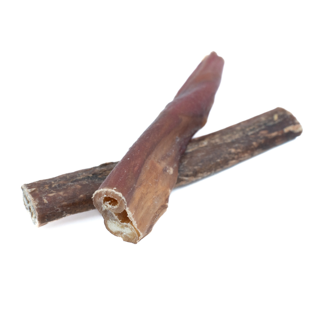 5-6 Inch Champion Chew