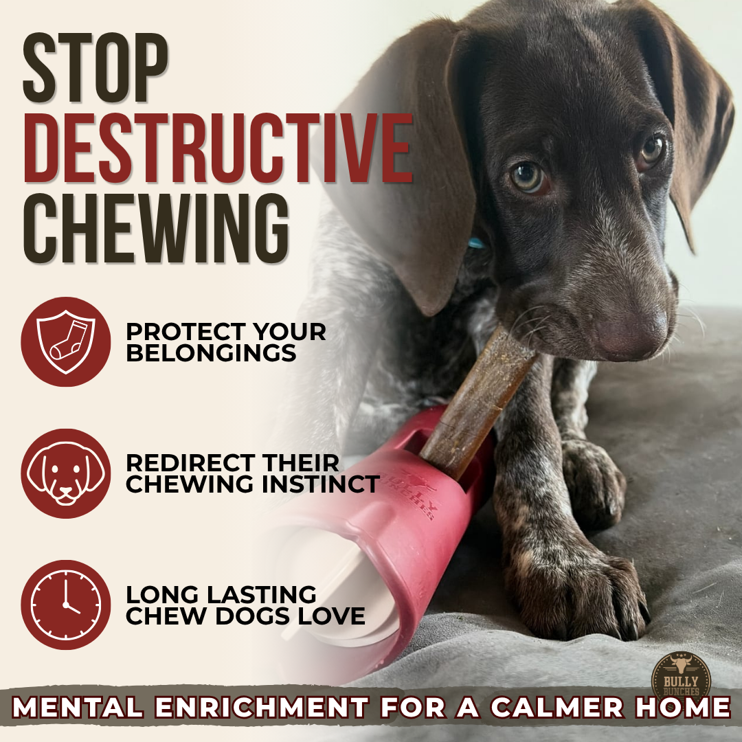 5-6 Inch Collagen Stick