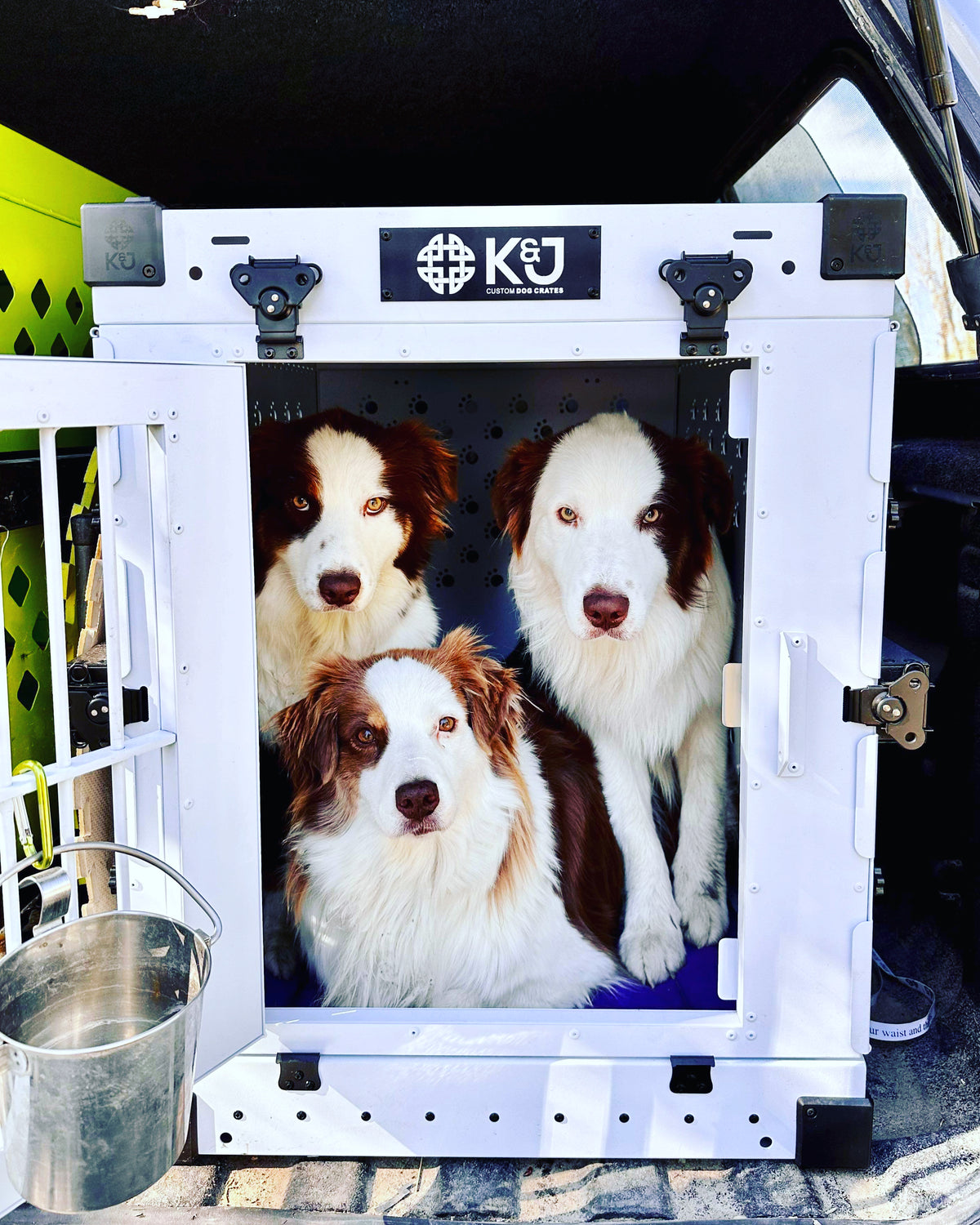 Curated visual reference: Picture Idea: Premium Dog Crates Air Travel Safe K J Custom Dog