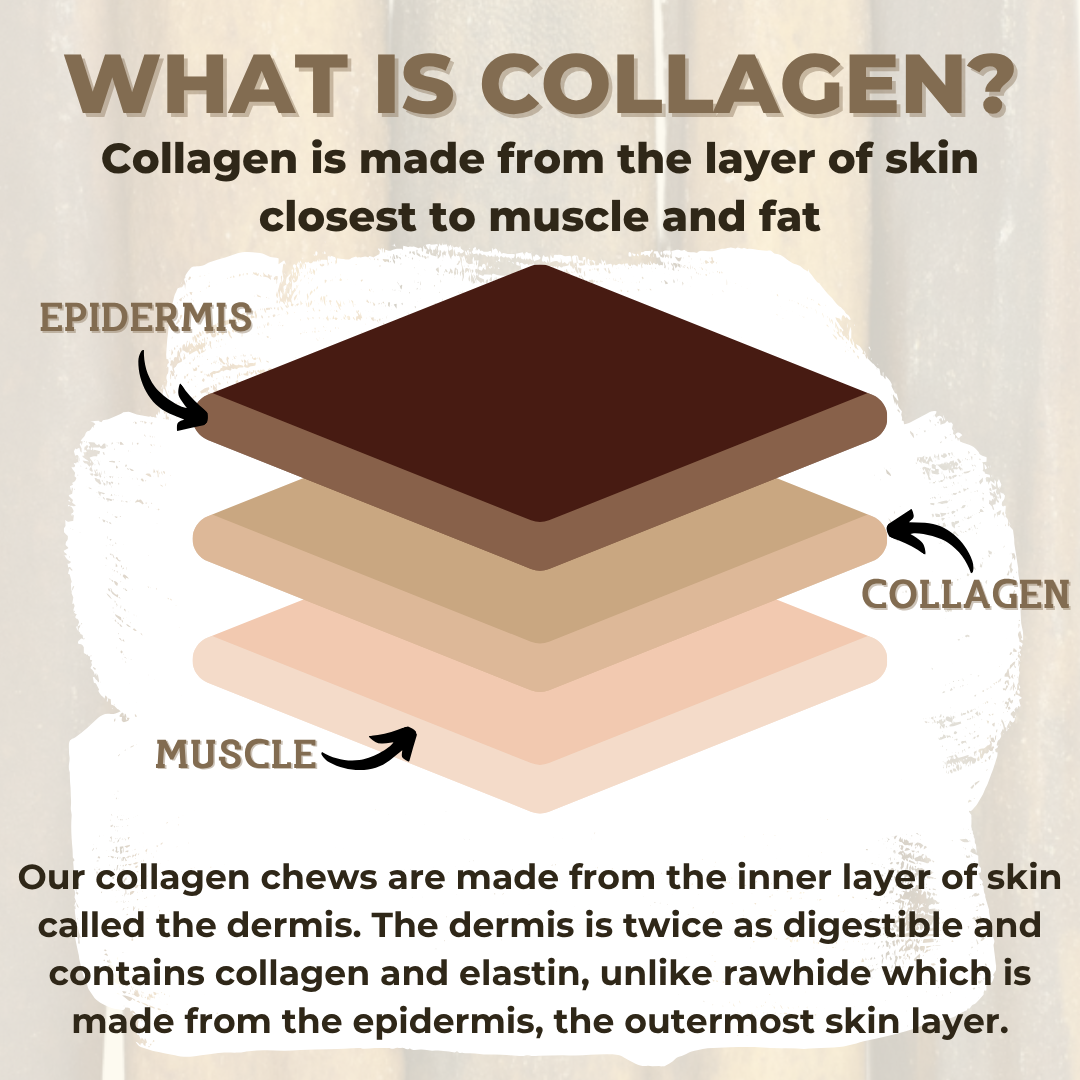 5-6 Inch Braided Collagen Stick
