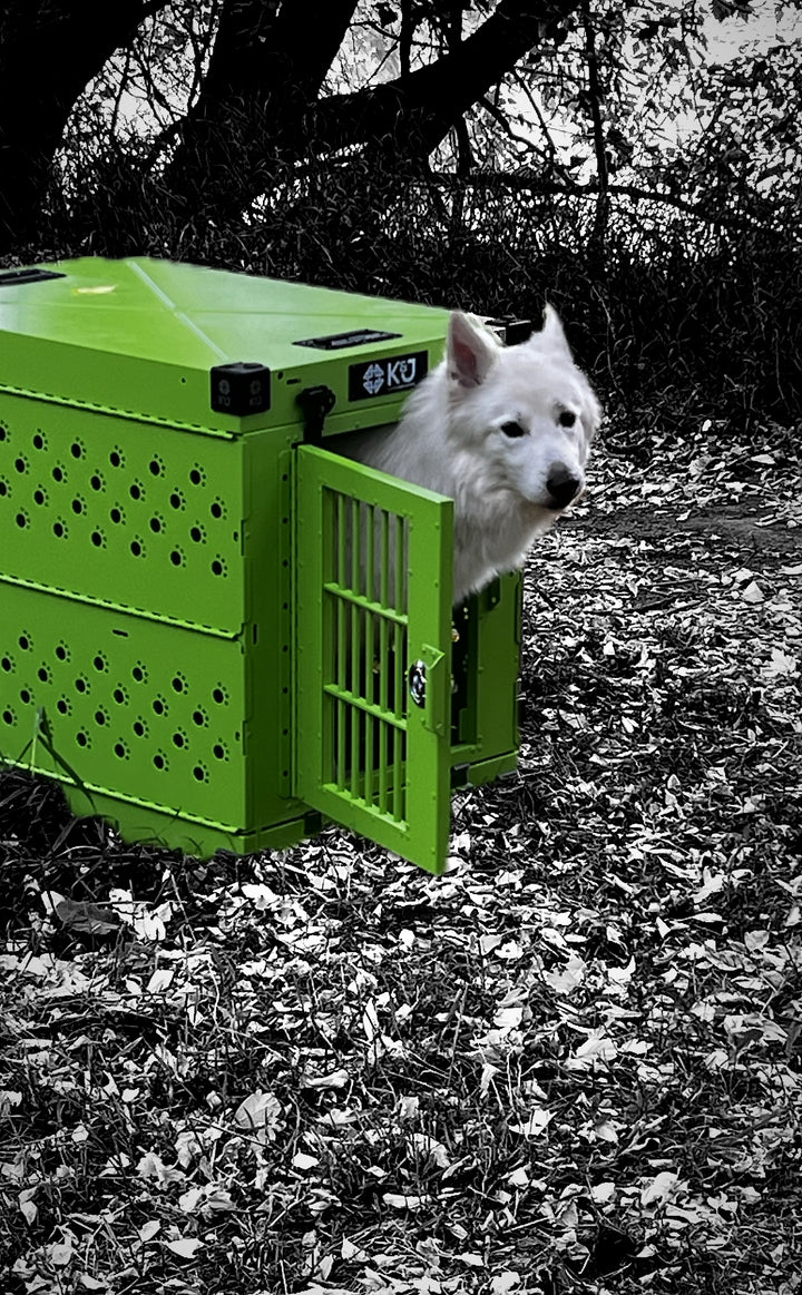 Metallic Coloured Crates