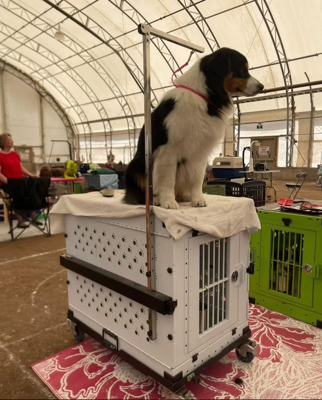 Collapsible Dog Crate