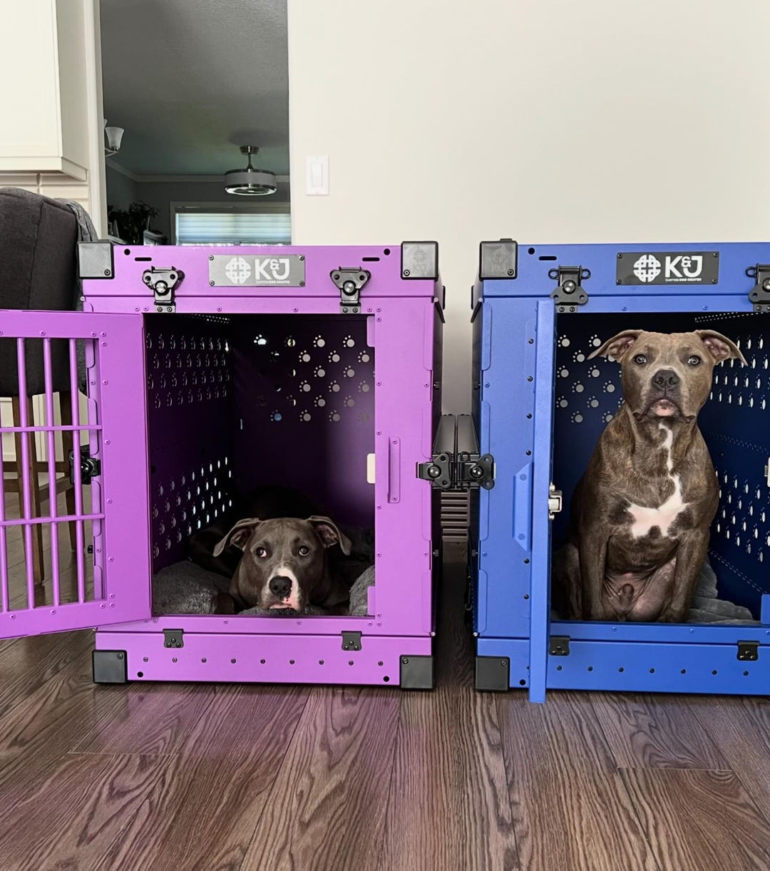 Collapsible Dog Crate