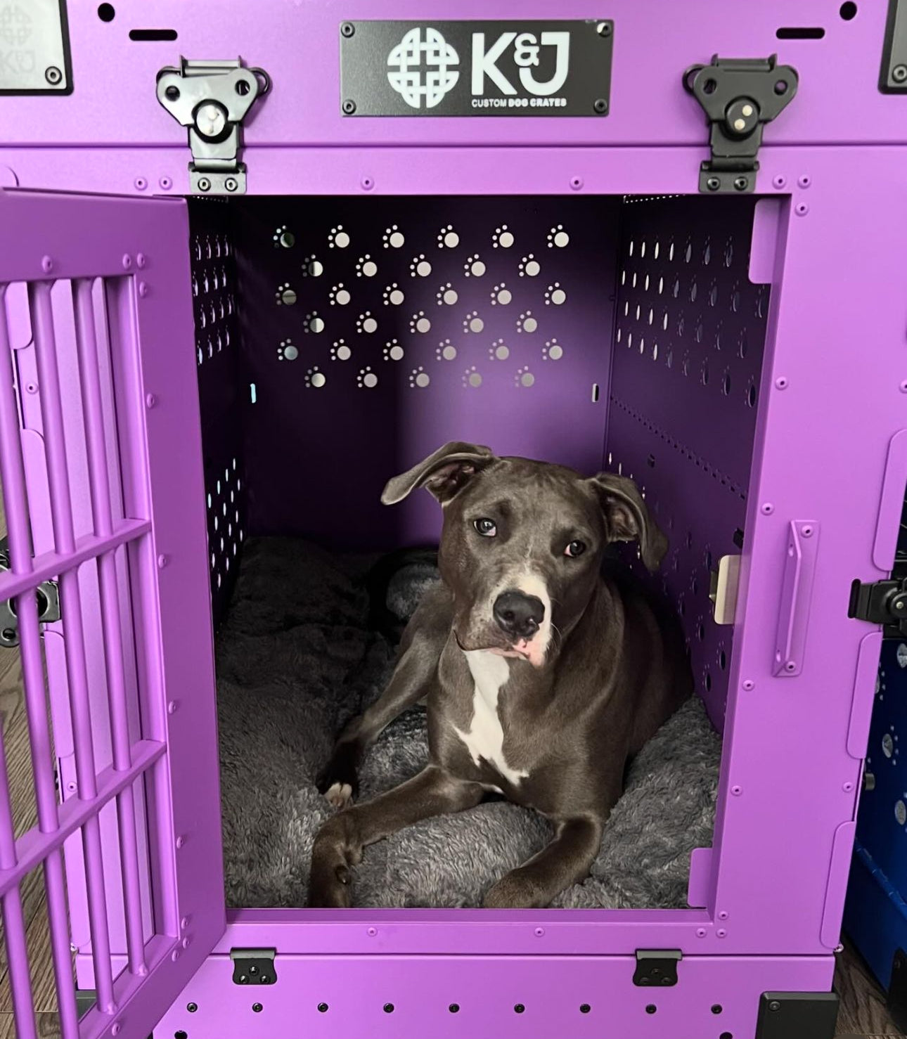 Collapsible Dog Crate K J Custom Dog Crates Collapsible dog crate k j custom dog crates