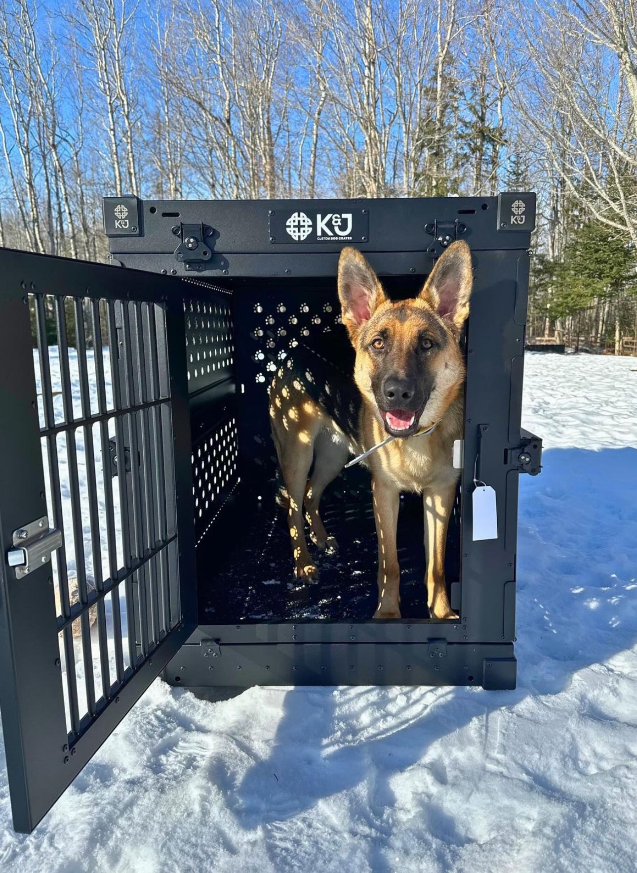 XL black collapsible K&J crate with the door open, featuring a happy German Shepherd standing inside, looking out. Crate is set in the snow outside a forest.