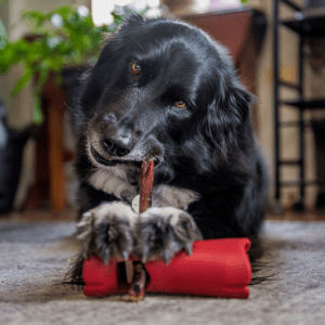 Bully Stick Safety Holder - K&J Custom Dog Crates