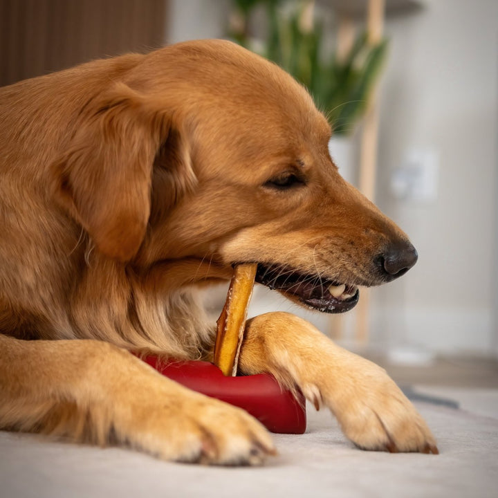 Bully Stick Safety Holder - K&J Custom Dog Crates