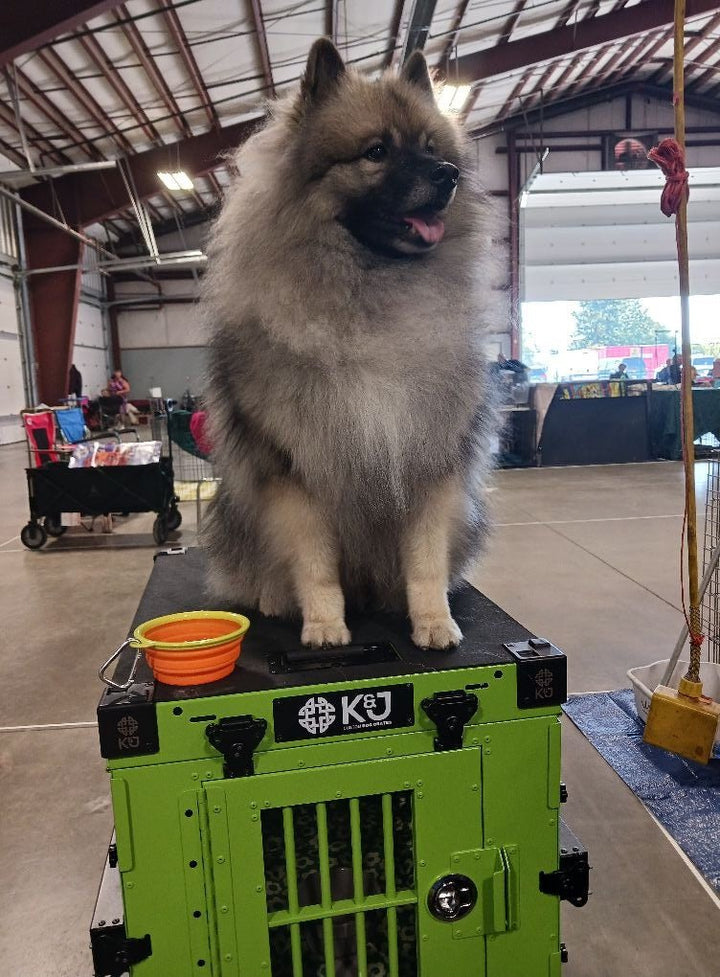 Clearance Collapsible Crates - K&J Custom Dog Crates