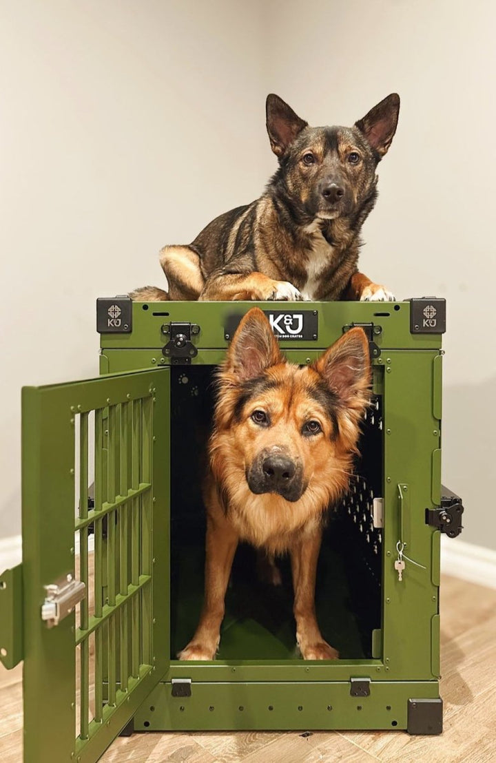 Clearance Collapsible Crates - K&J Custom Dog Crates
