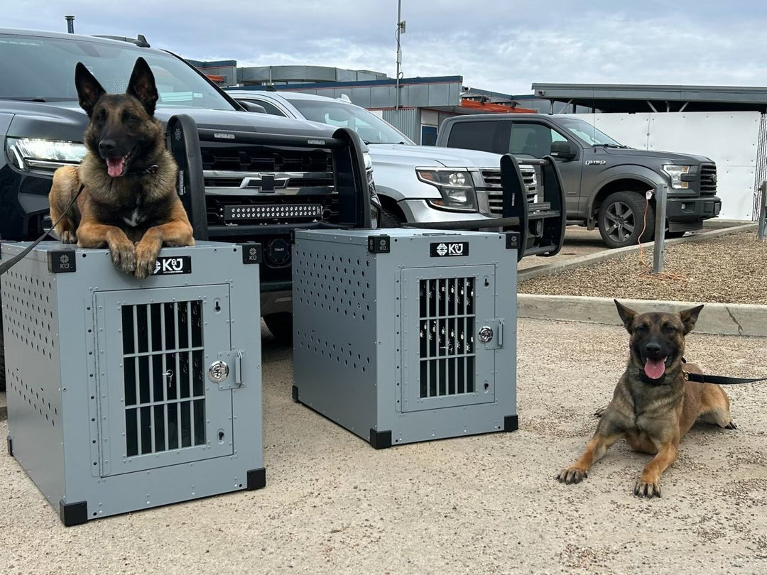 Clearance Stationary Crates - K&J Custom Dog Crates