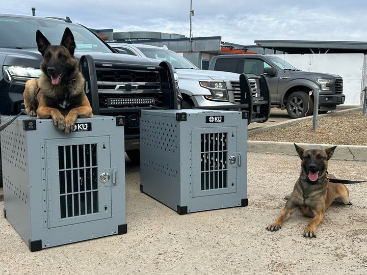 Clearance Stationary Crates - K&J Custom Dog Crates