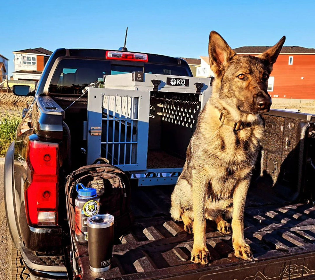 Clearance Stationary Crates - K&J Custom Dog Crates