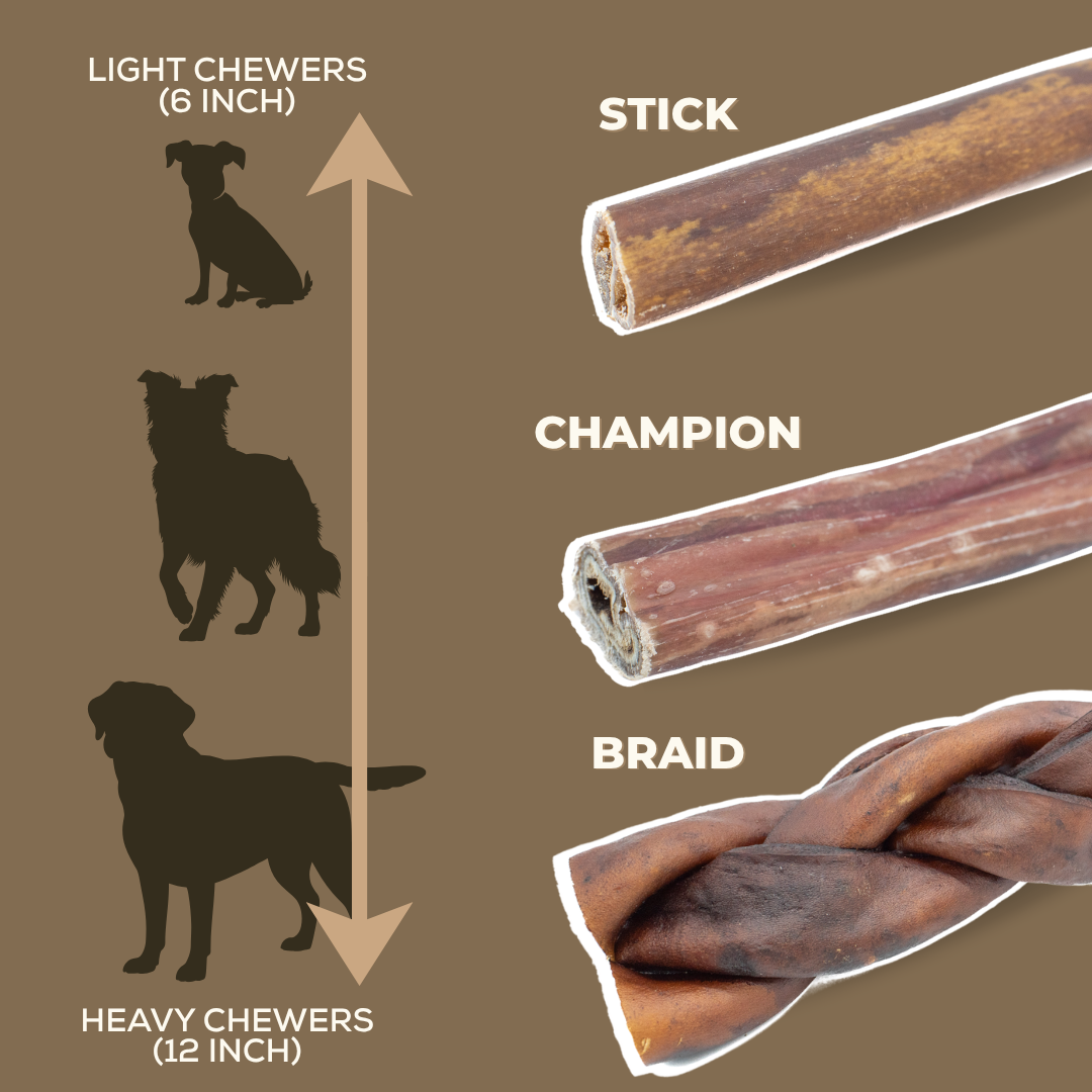 5-6 Inch Braided Collagen Stick