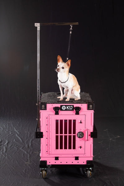 dog-grooming-set-421622_grande