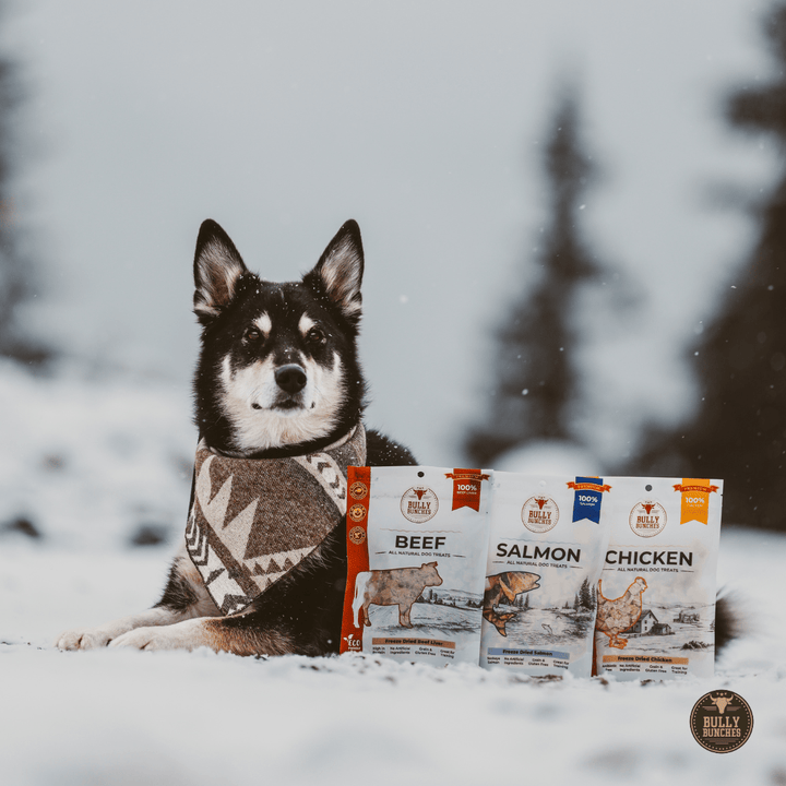 Freeze Dried Flavour Bundle 100g / 3.5oz x3 - K&J Custom Dog Crates