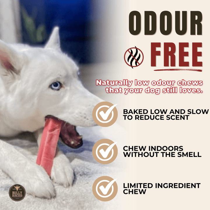 Himalayan Yak Chew Flavour Pack - K&J Custom Dog Crates