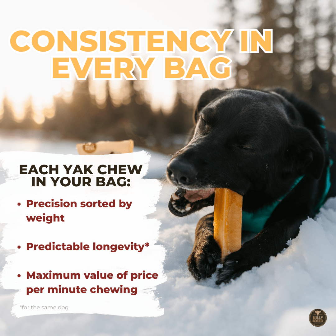 Himalayan Yak Chew (LARGE) - K&J Custom Dog Crates