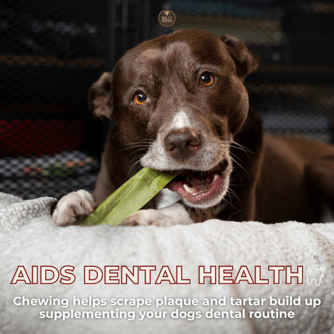 Himalayan Yak Chew (LARGE) - K&J Custom Dog Crates