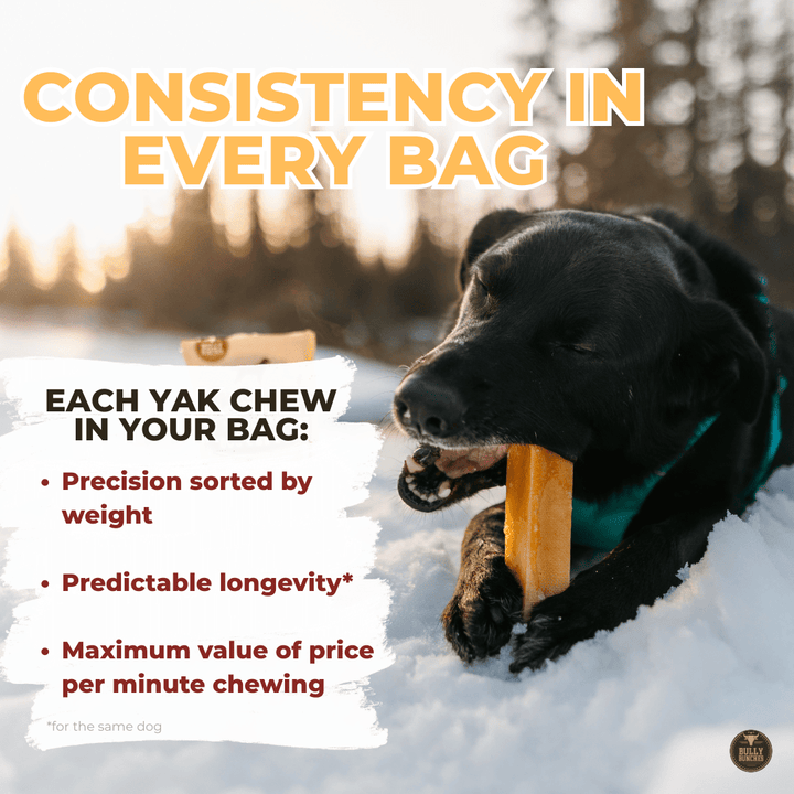 Himalayan Yak Chew (SMALL) - K&J Custom Dog Crates