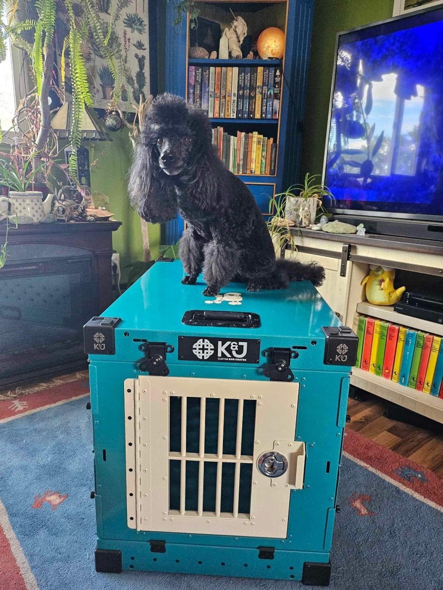 Metallic Coloured Crates 2.0 - K&J Custom Dog Crates