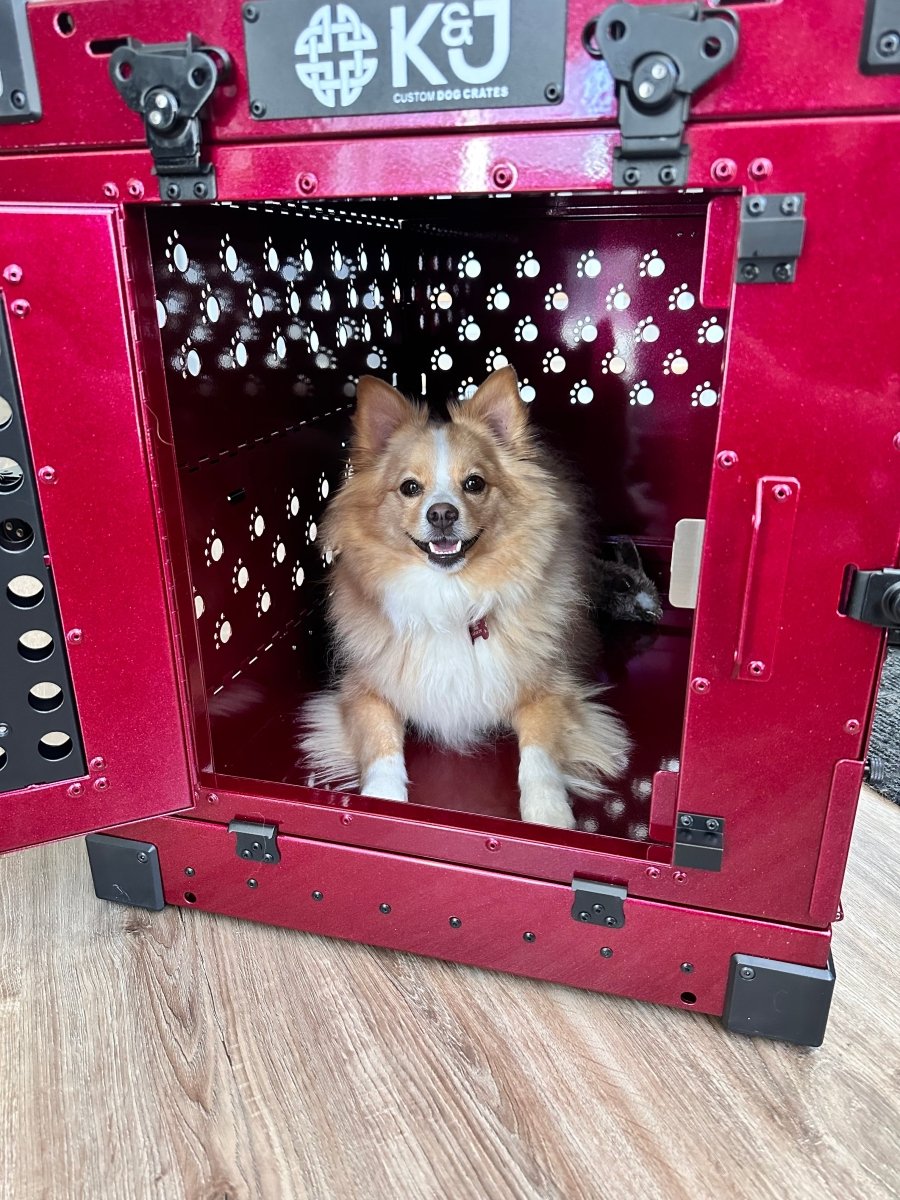 Metallic Coloured Crates 2.0 - K&J Custom Dog Crates