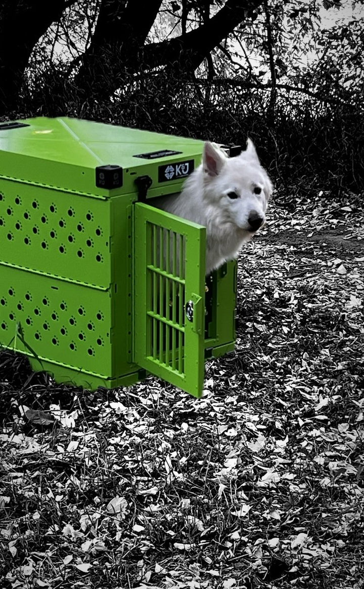 Metallic Coloured Crates 2.0 - K&J Custom Dog Crates