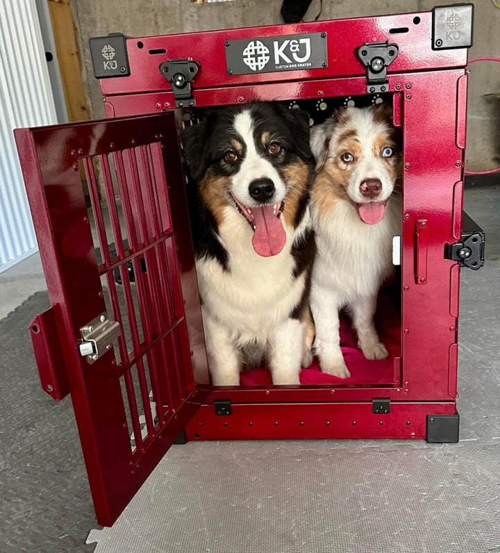 Metallic Coloured Crates 2.0 - K&J Custom Dog Crates