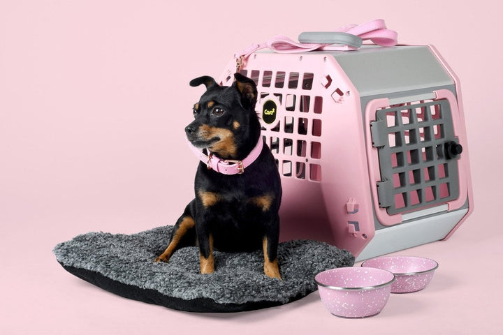 MIM Safe Care² - K&J Custom Dog Crates